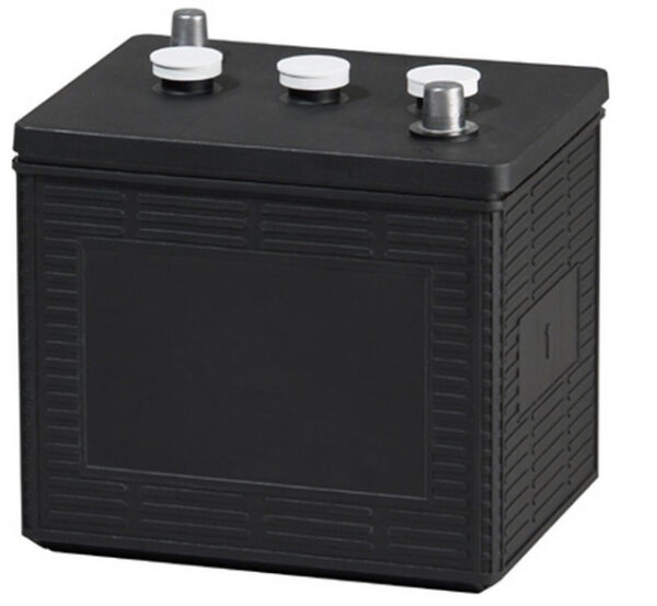 Group 1 Battery