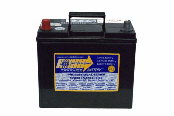 Group 51 Battery